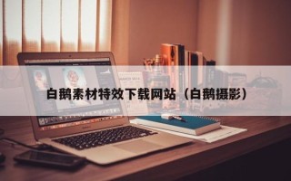 吴忠白鹅素材特效下载网站（白鹅摄影）